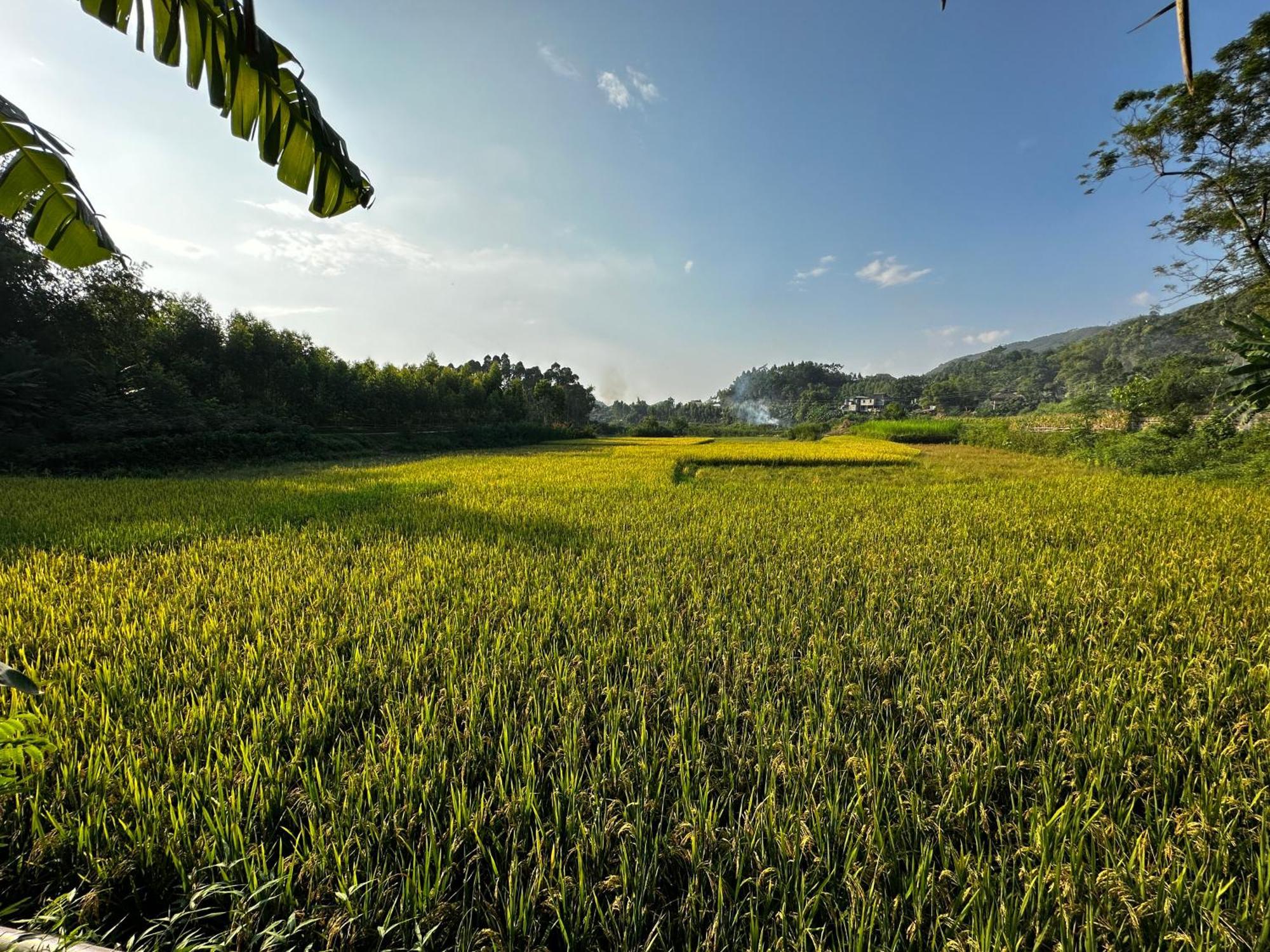 Vulinh Family -Homestay Yen Binh Εξωτερικό φωτογραφία
