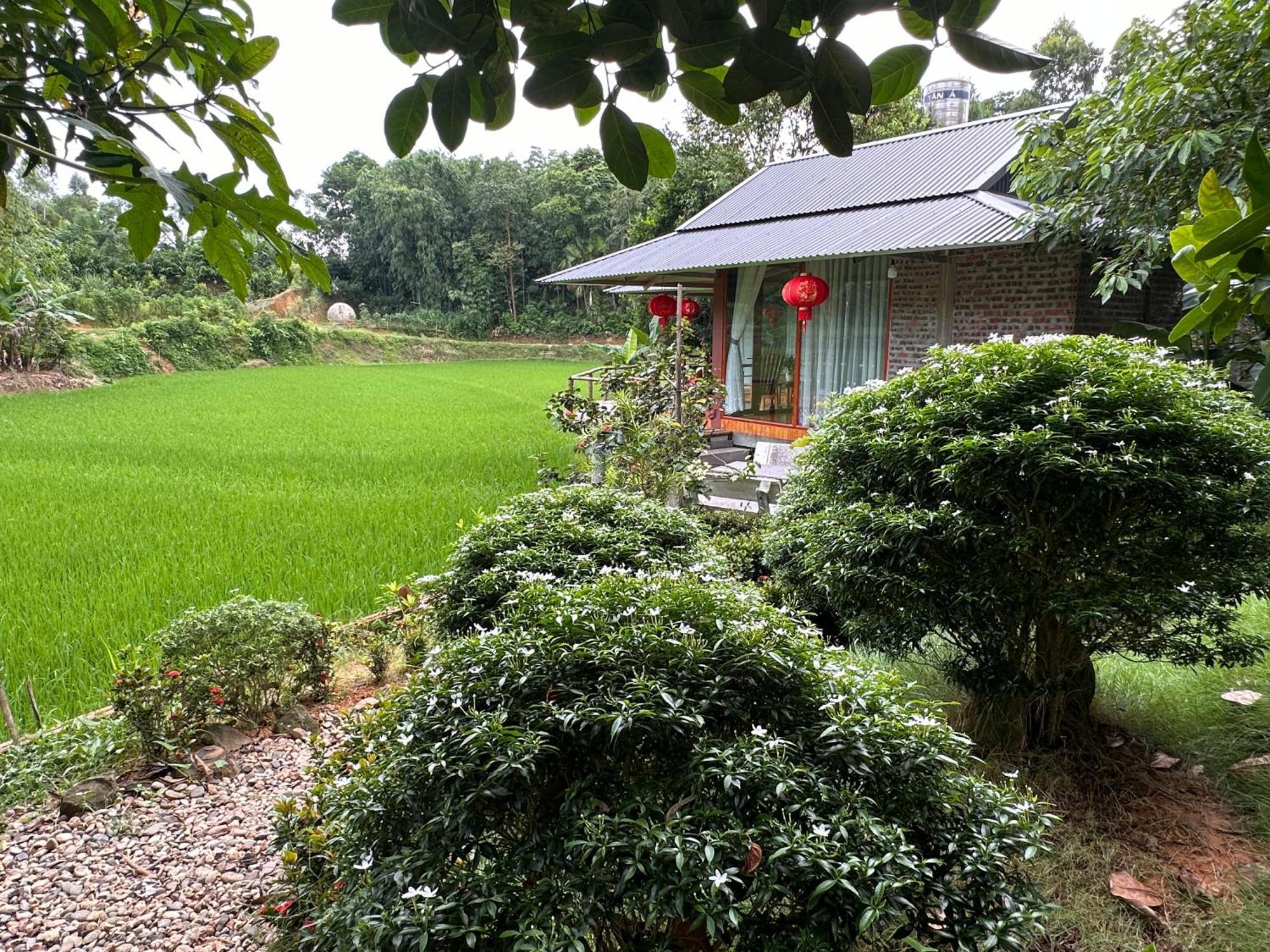 Vulinh Family -Homestay Yen Binh Εξωτερικό φωτογραφία