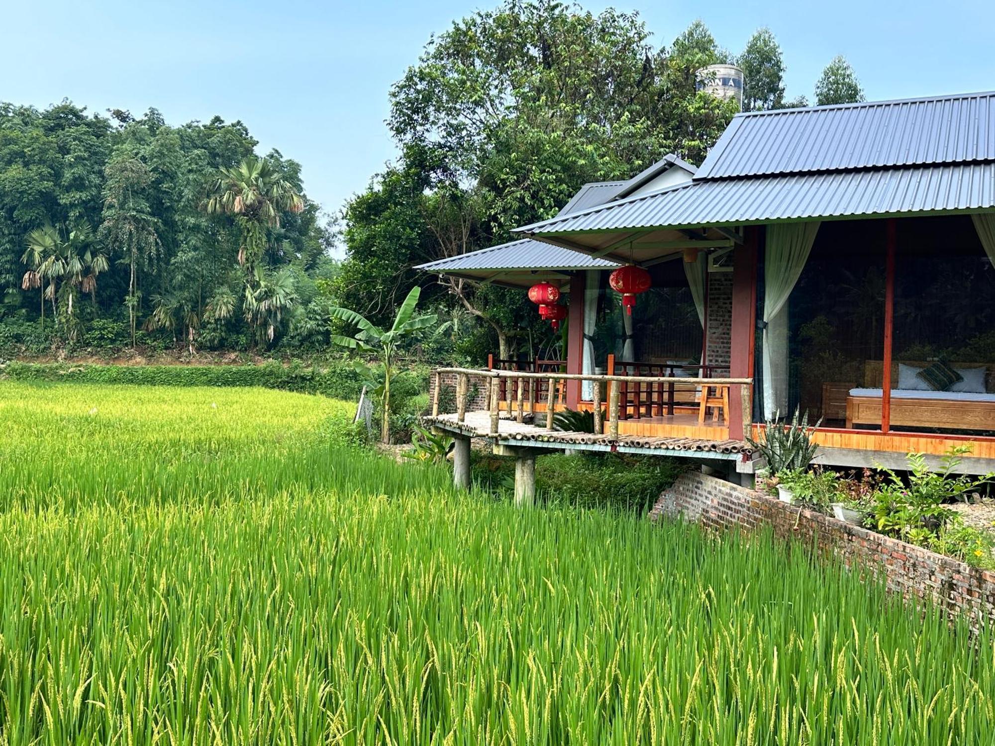 Vulinh Family -Homestay Yen Binh Εξωτερικό φωτογραφία